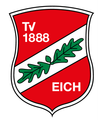 Logo TV Eich