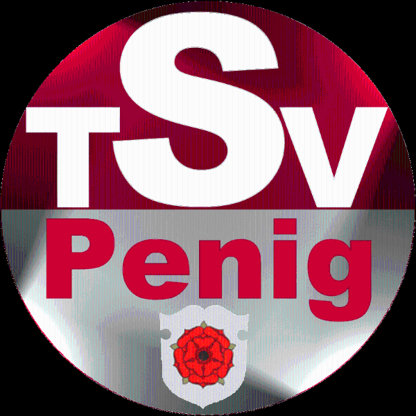 Logo TSV Penig