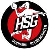 Logo HSG Pyrbaum/Seligenporten II