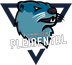 Logo HC Pleißental