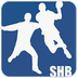 Logo SG Herbrechtingen-Bolheim 2