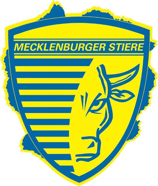 Mecklenburger Stiere Schwerin