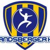 Logo Landsberger HV