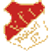 Logo VfL Woltorf