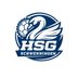 Logo HSG Schwenningen 2