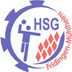 Logo HSG Fridingen/Mühlheim 3