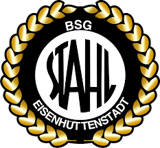 Logo BSG Stahl Eisenhüttenstadt