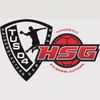 Logo FSG Kaiserslautern/Dansenberg