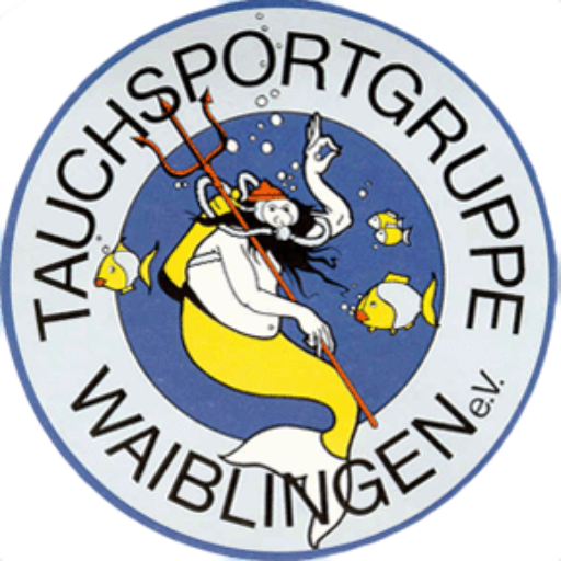 Logo VfL Waiblingen Handball 2