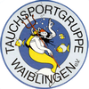Logo VfL Waiblingen Handball 3