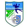 Logo HSG Büchen/Siebeneichen