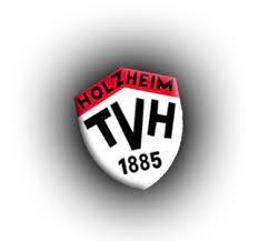 Logo MSG DJK Göppingen/TV Holzheim