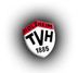 Logo MSG DJK Göppingen/TV Holzheim