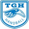 Logo TG Höchberg II