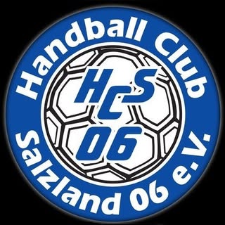 Logo HC Salzland 06