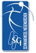 Logo HSG Schwanewede/Nk.