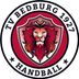 Logo TV Bedburg 1927 II