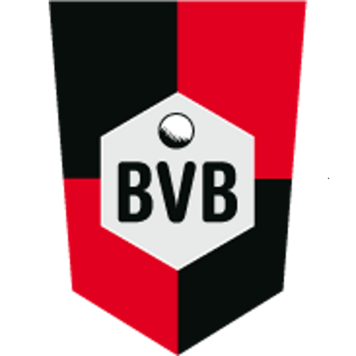 Logo SV BVB 49 II