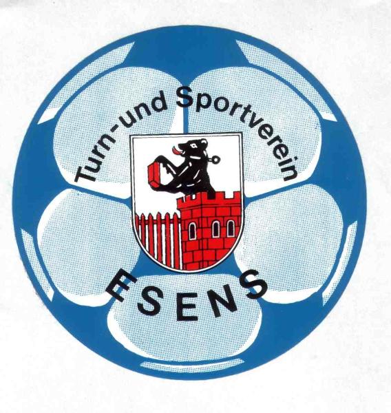 Logo TuS Esens