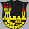 Logo TSV 1862 Radeburg II