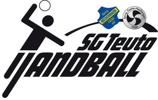 Logo SG Teuto Handball III