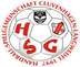 Logo HSG Cluvenhagen/Langwedel