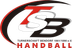 Logo TS Bendorf