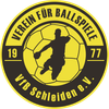 Logo VfB Schleiden