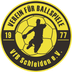 Logo VfB Schleiden
