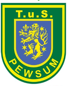 Logo JMSG Emden/Pewsum/Groß-Midlum