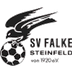 Logo SV Falke Steinfeld II
