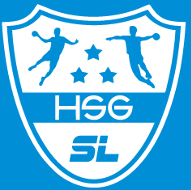 Logo HSG Schleswig 2