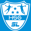 Logo HSG Schleswig