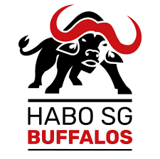 Logo Handballregion Bottwar SG 2