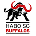Logo Handballregion Bottwar SG 2