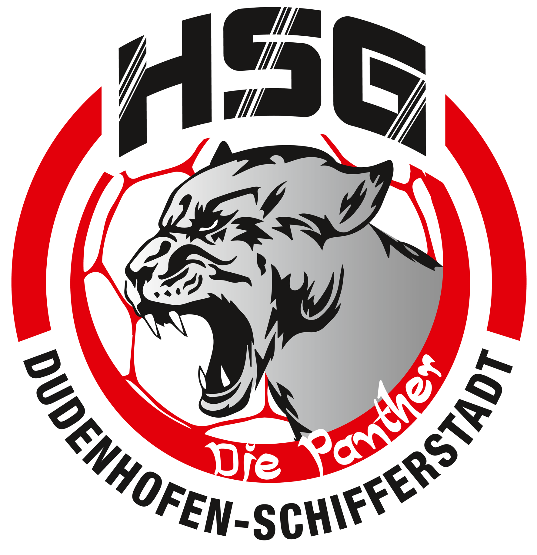HSG Dudenhofen/Schifferstadt 3