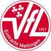 Logo JSG Mettingen-Recke