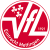 Logo JSG Mettingen-Recke 2