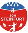 Logo SG Handball Steinfurt 3