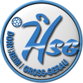 Logo HSG Dornh./Gr.-Gerau II