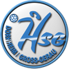 Logo HSG Dornh./Gr.-Gerau