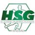 Logo HSG Dittigheim/Tauberbischofsheim 2
