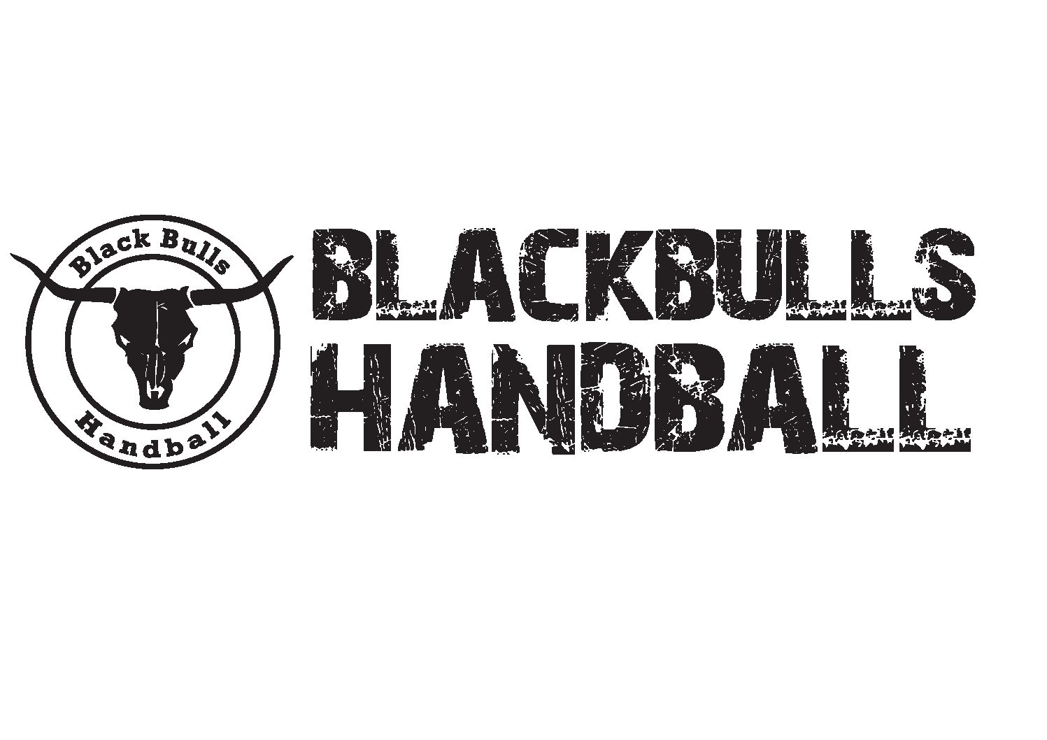 Logo Black Bulls Alsweiler 3