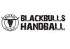 Logo Black Bulls Alsweiler 2