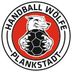Logo Handball Wölfe Plankstadt e.V.