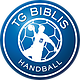 Logo TG Biblis II