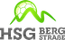 Logo HSG Bergstraße