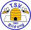 Logo TSV Bildung Peine