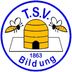 Logo TSV Bildung Peine