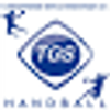 Logo HSG Schwenningen 2